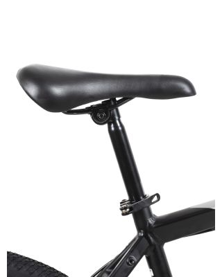Bicicleta Fire Bird R29