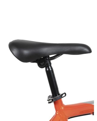 Bicicleta Fire Bird R29