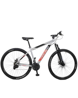 Bicicleta Fire Bird R29