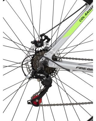 Bicicleta Fire Bird R29