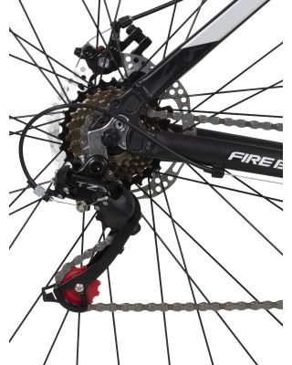 Bicicleta Fire Bird R29