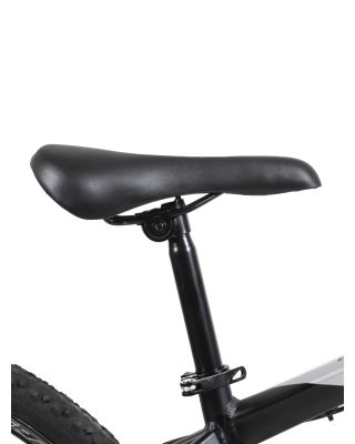 Bicicleta Fire Bird R29