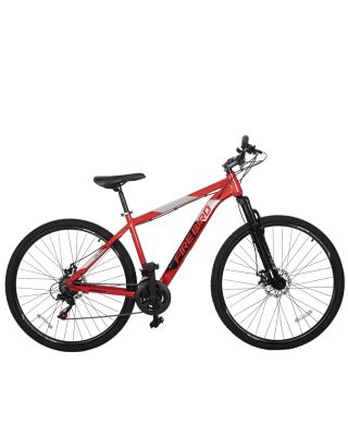 Bicicleta Fire Bird R29