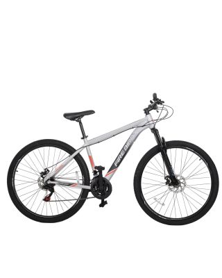 Bicicleta Fire Bird R29