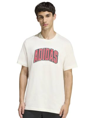 Remera Adidas Graphic Stadium Collegiate
