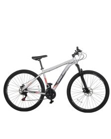 Bicicleta Fire Bird R29