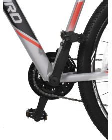 Bicicleta Fire Bird R29