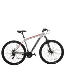 Bicicleta Fire Bird R29