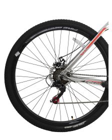 Bicicleta Fire Bird R29