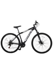 Bicicleta Fire Bird R29