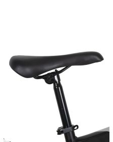 Bicicleta Fire Bird R29