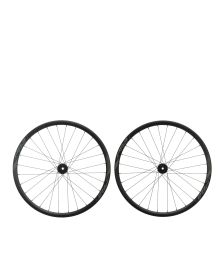 COG35000021718K_0.jpg