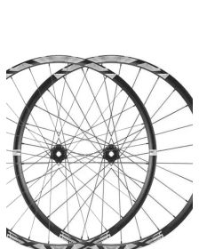 COG35000022930K_0.jpg