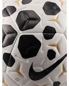 Pelota Nike Academy Plus