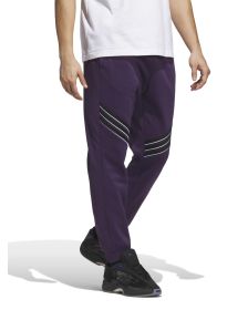 Pantalón Adidas Basketball Crazy
