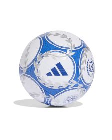 Pelota Adidas AFA Argentum Gambeta League