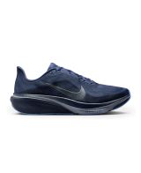 Zapatillas Nike Air Zoom Pegasus 42