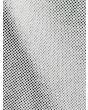 COL21639021011_5.jpg