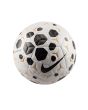 Pelota Nike Academy Plus