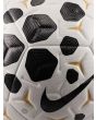 Pelota Nike Academy Plus