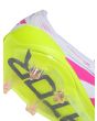 ID3881_2.jpg