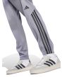 Conjunto Deportivo Adidas Stadium 3 Stripes