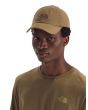 Gorra The North Face Norm