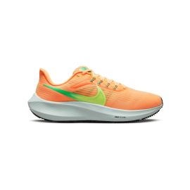 Pegasus 39